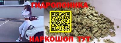МДПВ Лесосибирск